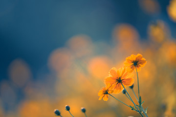 河南商丘新增一例本土无症状感染者/河南商丘确诊新型肺炎