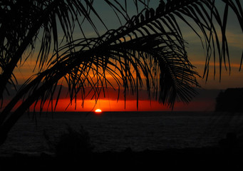 新疆新增本土31例(新疆新增本土病例详情)