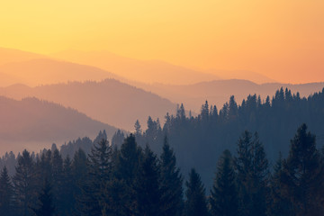 【昆明安宁疫情,昆明安宁新型冠状肺炎】