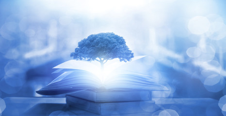 广东湛江一地调为中风险区/湛江一地升为中风险地区