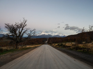 31省新增本土确诊80例(31省新增本土81例)