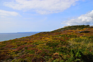 国产suv车型大全/国产suv车型大全图片