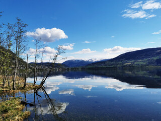 【31省区市新增确诊4例2例为本土,31省区市新增确诊10例含本土1例】