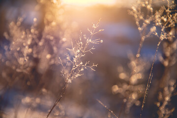 昆明一小区现疑似阳性人员/昆明疑似病例小区