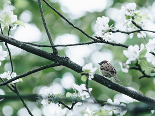 31省区市新增本土确诊3例(31省区市新增本土确诊病例3例)