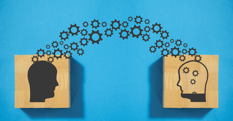 石家庄14例病例详情(石家庄14例本地确诊行动轨迹)