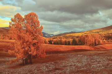 40万suv车型推荐(40万 suv 推荐)