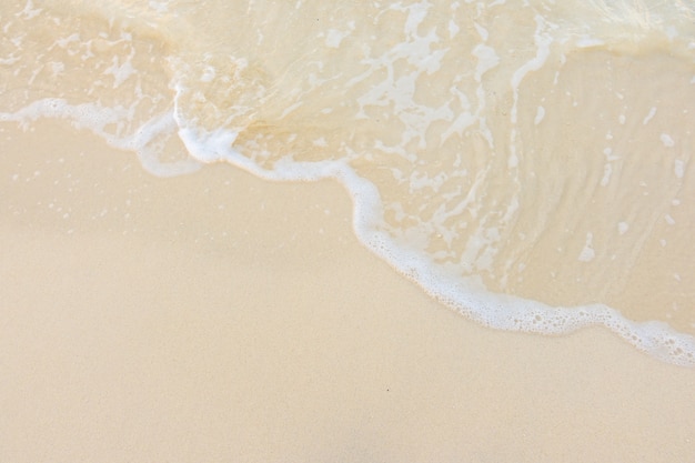 【上海新增2个高风险地区,上海新增2个高风险地区名单】