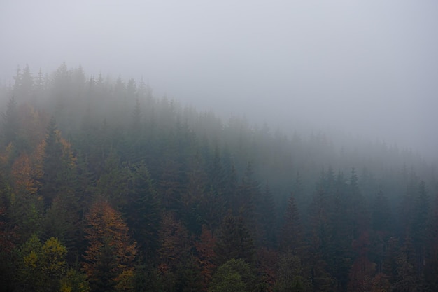 31省份新增本土确诊10例黑龙江8例(31省份新增本土确诊10例 黑龙江8例)