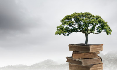 美国新冠疫情最新数据/美国新冠疫情最新数据一览表