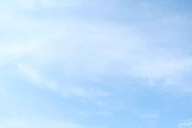 【全国新增本土16例,全国新增本土确诊病例分布】