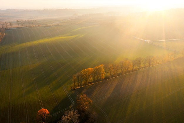 青岛新增本土详情(青岛新增病例58例)