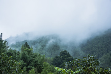 株洲最新疫情最新消息(株洲最新疫情分布情况)